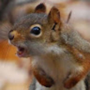 Meet your Posher, Axel